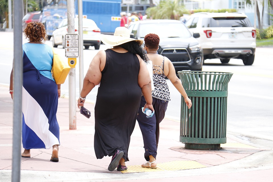 Obesidade associada ao transtorno de compulso alimentar peridica: breve aporte do tratamento da terapia cognitivo-comportamental