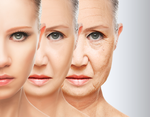Aspectos biopsicossociais da meia idade desencadeados pela menopausa