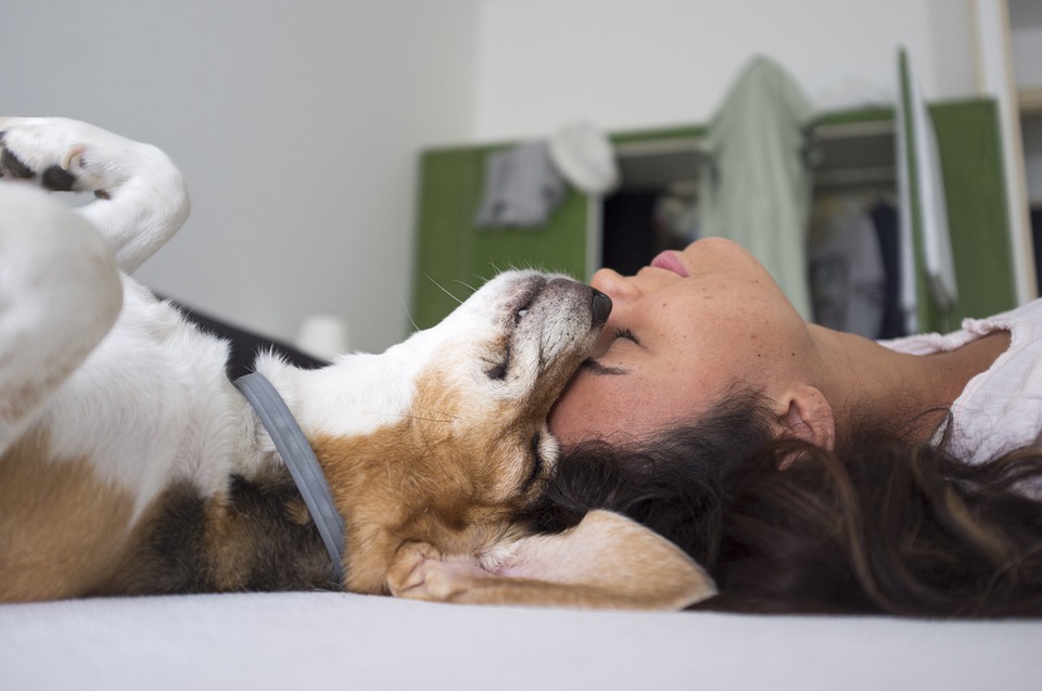 Cinoterapia: a importância do vínculo entre cães e humanos, uma revisão sistemática 