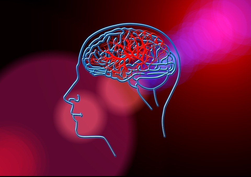 Acidente vascular encefálico: um olhar neuropsicológico 